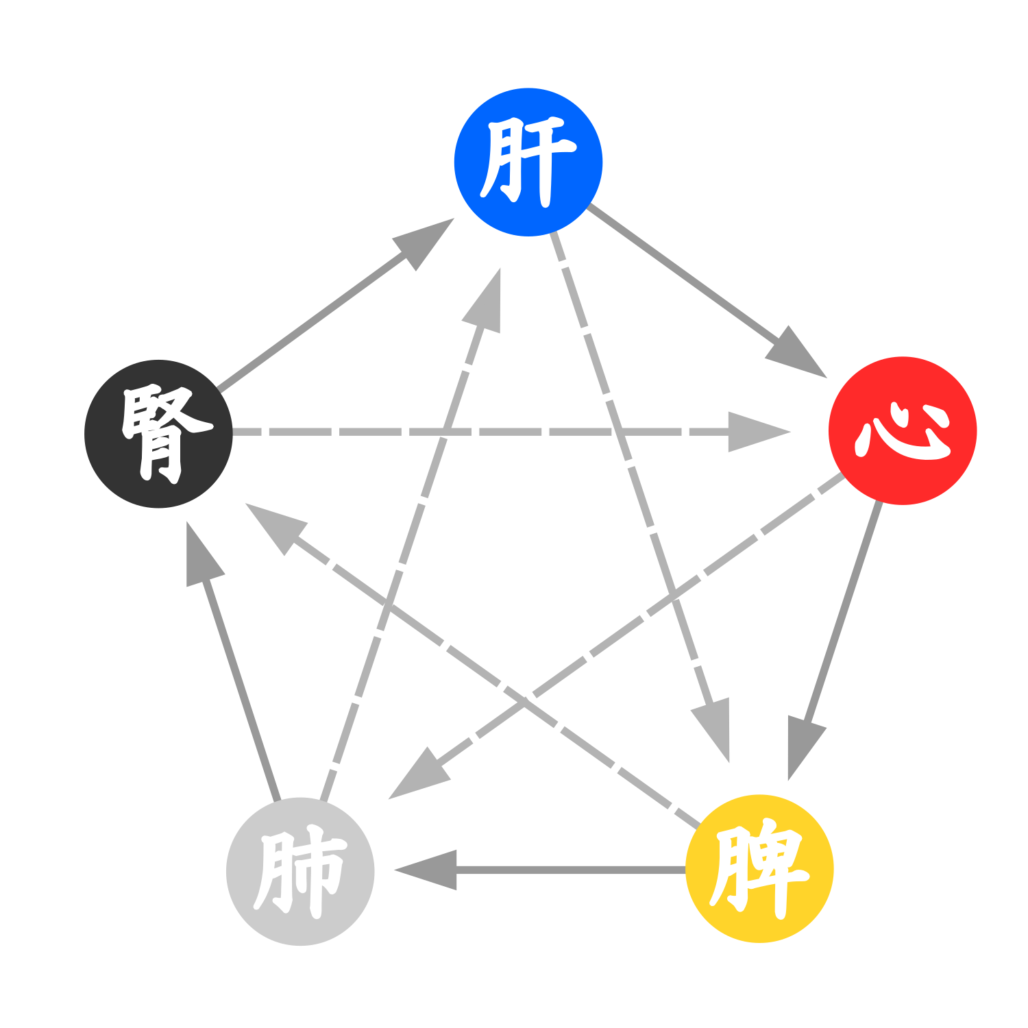 陰陽五行説の相関図 五臓 株式会社ベルディア